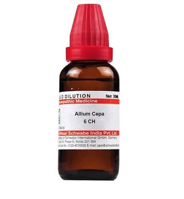 https://cdn.shopify.com/s/files/1/1857/6931/products/52k6juncY7.jpg?v=1641388560